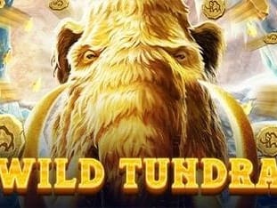 Wild Tundra